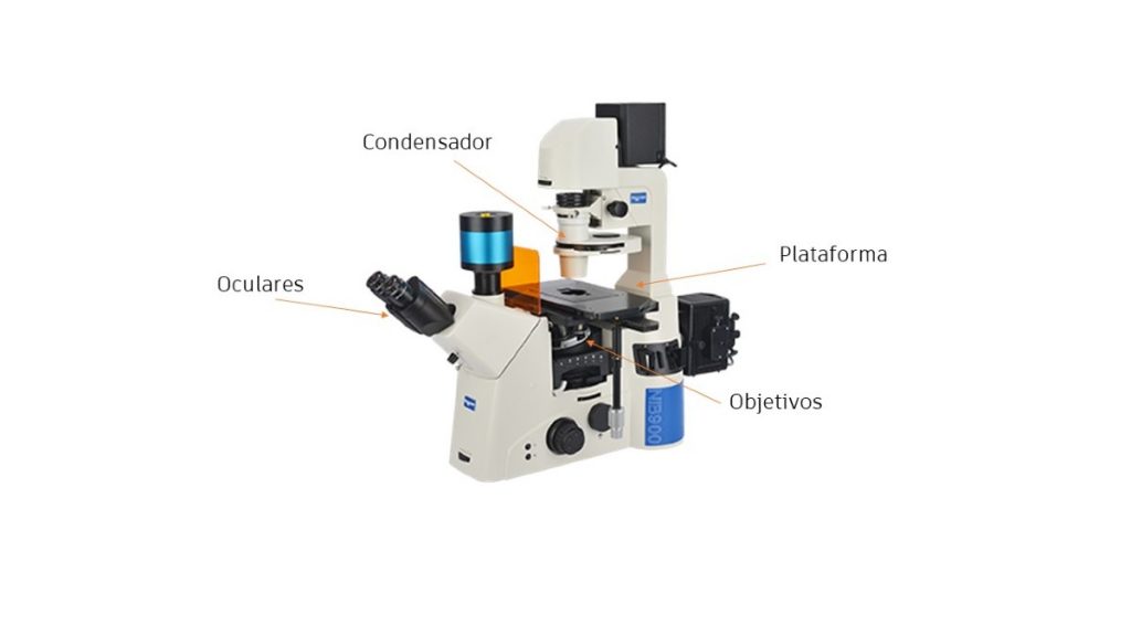 MIcroscopio invertido de investigación con epi-fluorescencia