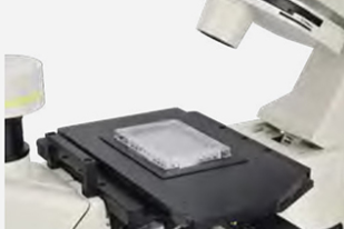 NIB 910FL 1