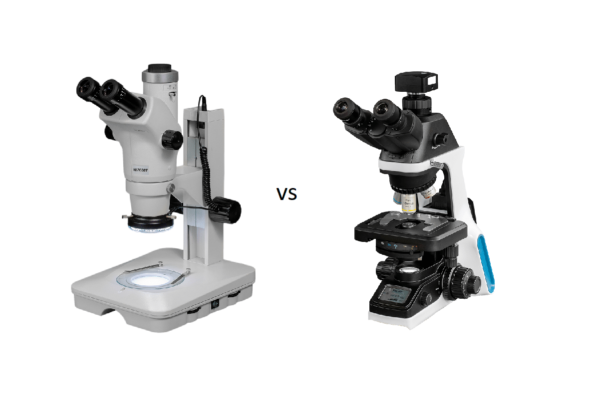 Diferencia entre microscopio y estereomicroscopio