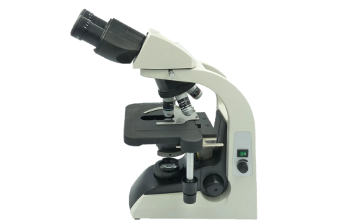 Microscopio vertical BM-2000