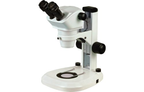 Estereomicroscopio Inspección y Educativos NSZ-606